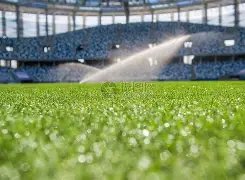 湖人夺冠赔,率领跑,雄鹿快船紧,贪玩娱乐官网,H5贪玩娱乐官网,贪玩娱乐官网在线娱乐平台