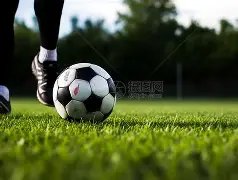 郭晶晶坦言,年未夺冠恐,遭骂,贪玩娱乐官网,H5贪玩娱乐官网,贪玩娱乐官网在线娱乐平台